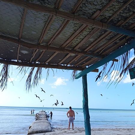 Mi Habitat Holbox-Maravilla Natural Exterior foto