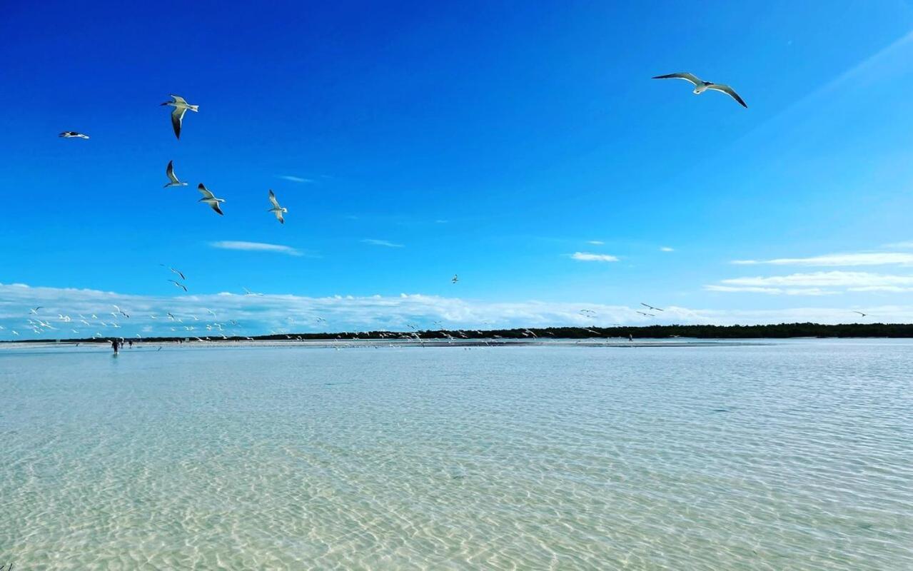 Mi Habitat Holbox-Maravilla Natural Exterior foto