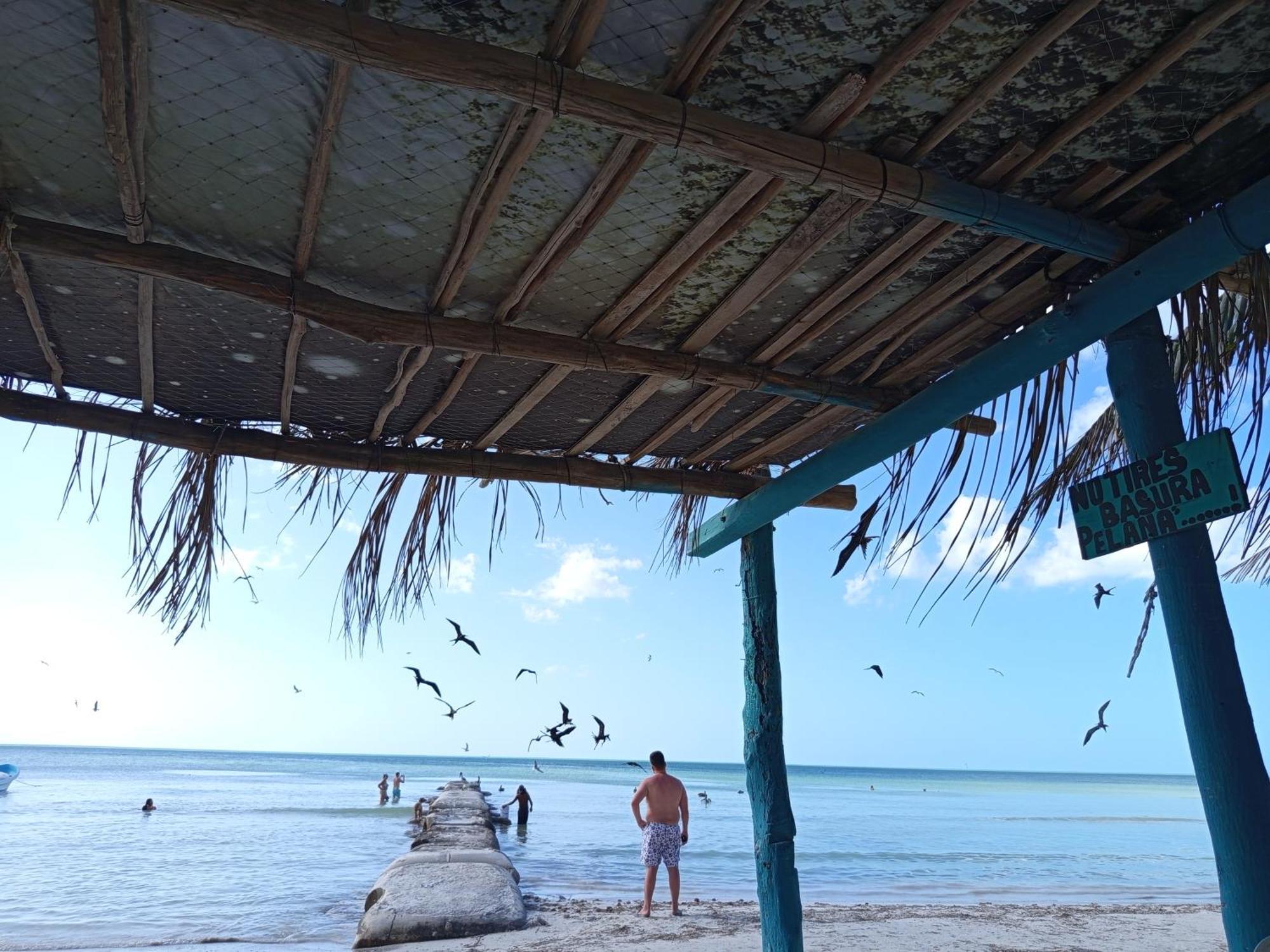 Mi Habitat Holbox-Maravilla Natural Exterior foto
